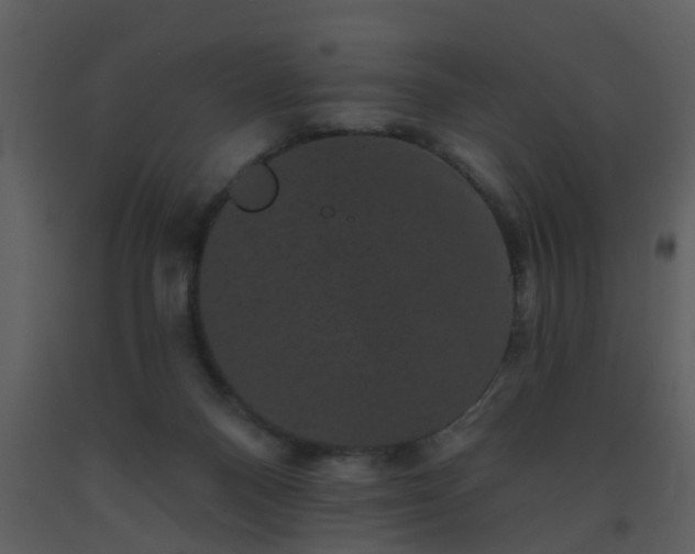 X0000093580120200710221511