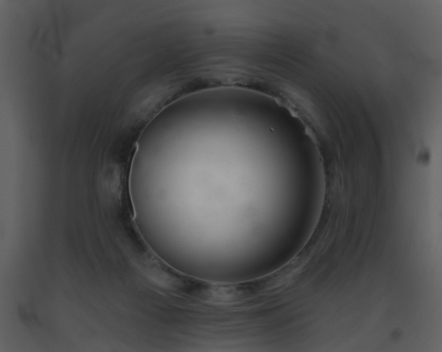 X0000093580121200710221511
