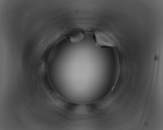 X0000093580123200710221511