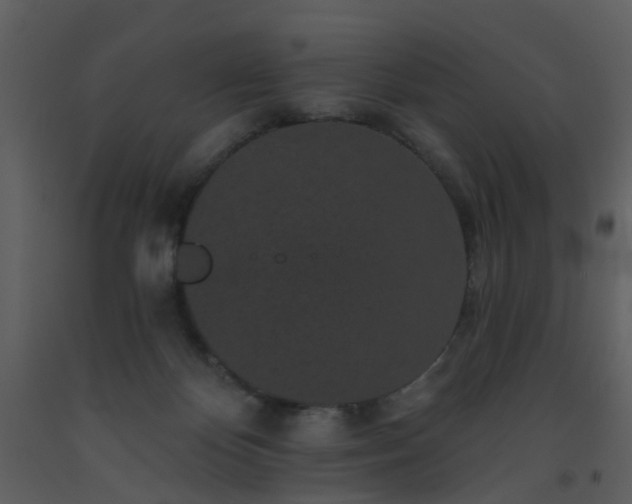 X0000093580124200710221511