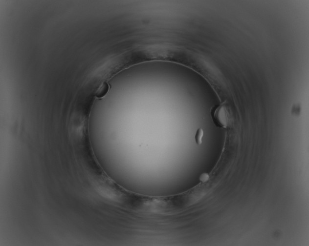 X0000093580125200710221511