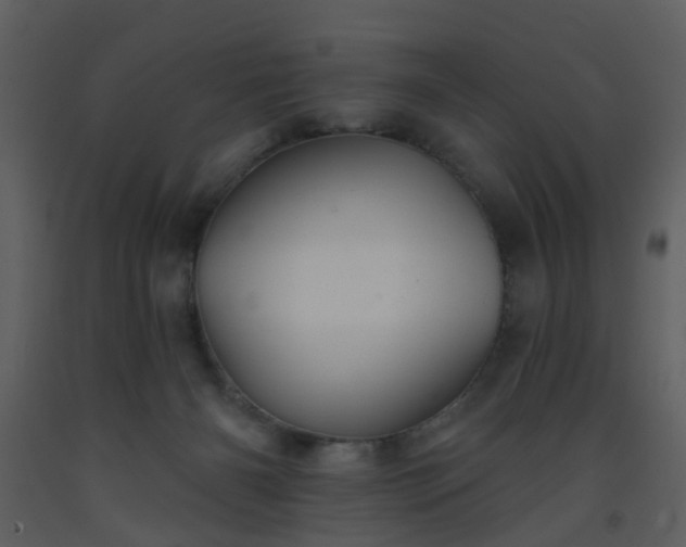 X0000093580126200710221511