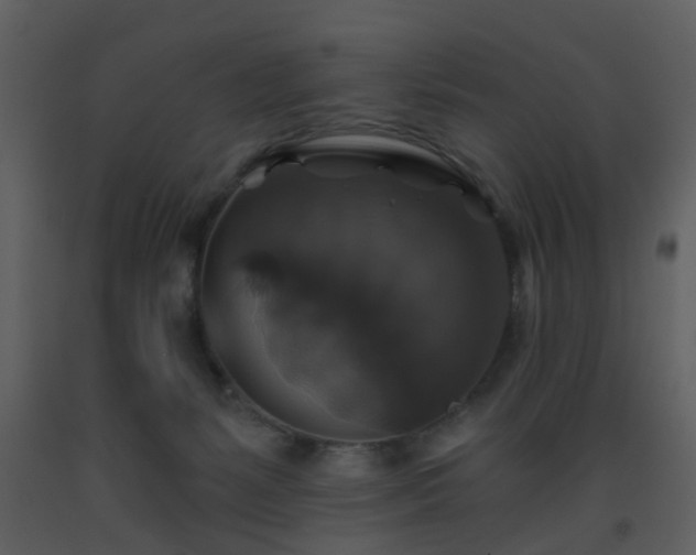 X0000093580127200710221511