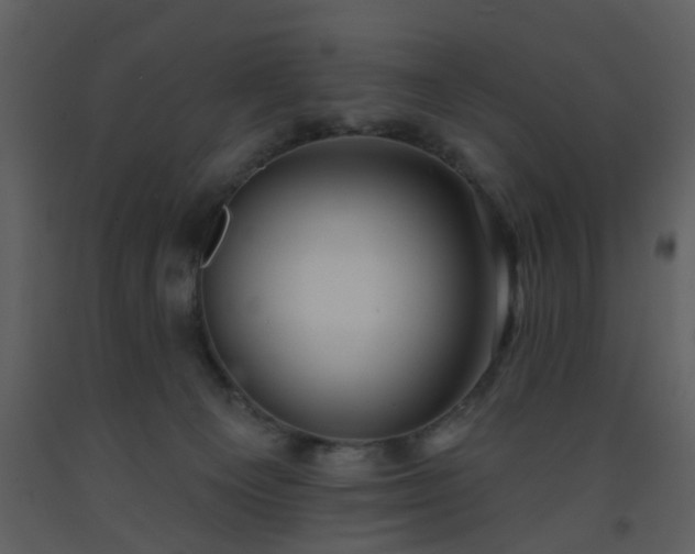 X0000093580129200710221511