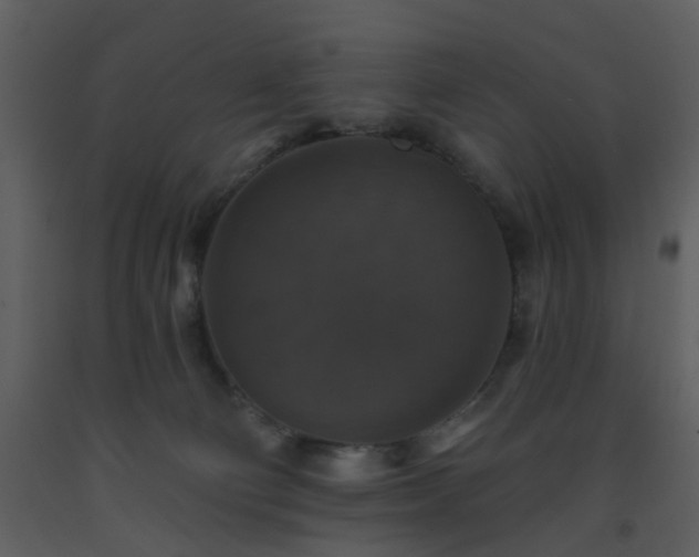 X0000093580130200710221511