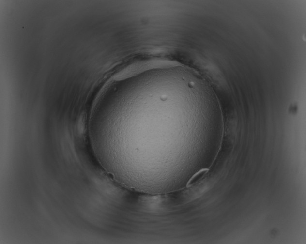 X0000093580131200710221511