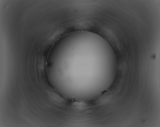 X0000093580133200710221511