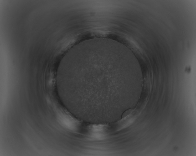 X0000093580134200710221511