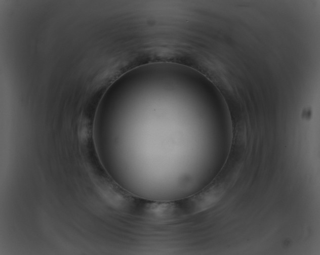 X0000093580135200710221511
