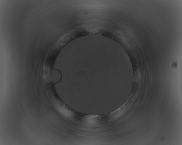 X0000093580136200710221511
