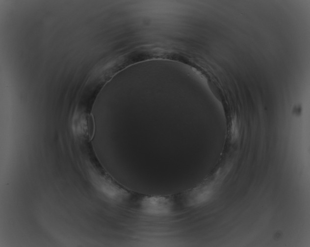 X0000093580137200710221511