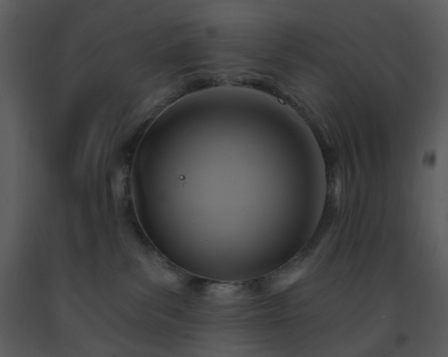 X0000093580139200710221511