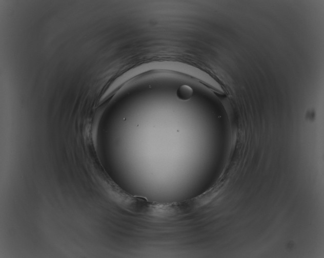 X0000093580141200710221511