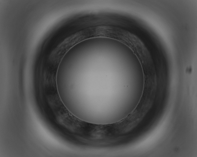 X0000093580142200710221511
