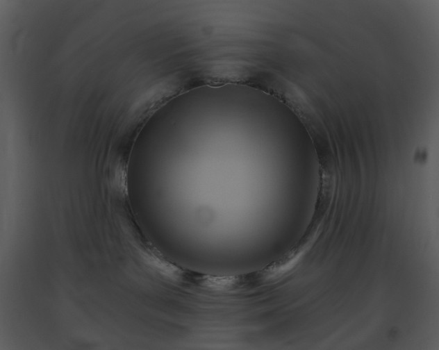 X0000093580143200710221511