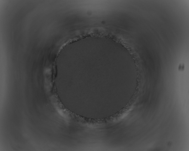 X0000093580144200710221511