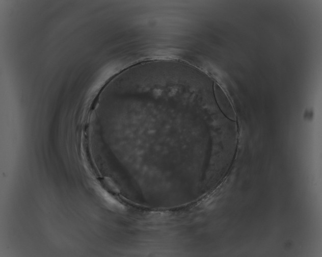 X0000093580145200710221510