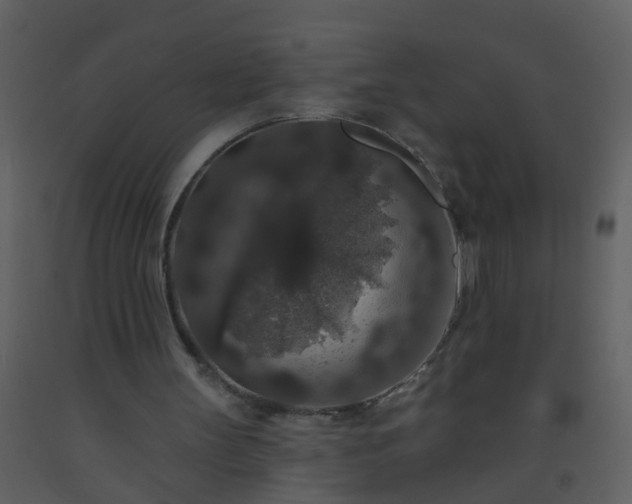 X0000093580147200710221510