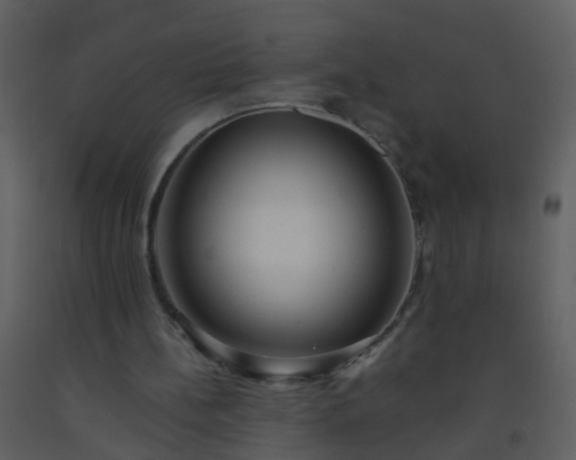 X0000093580148200710221510