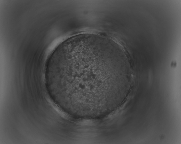 X0000093580149200710221510