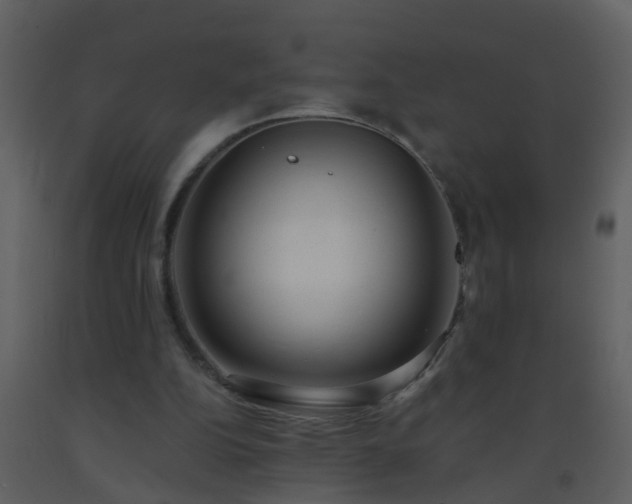 X0000093580152200710221510