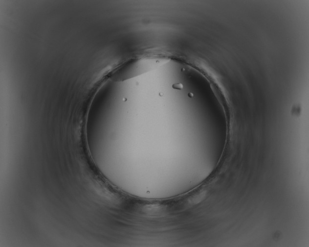 X0000093580153200710221510