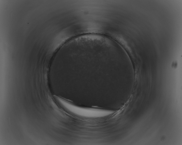 X0000093580154200710221510