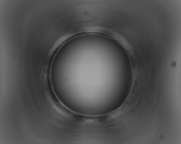 X0000093580155200710221510