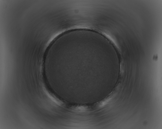 X0000093580156200710221510
