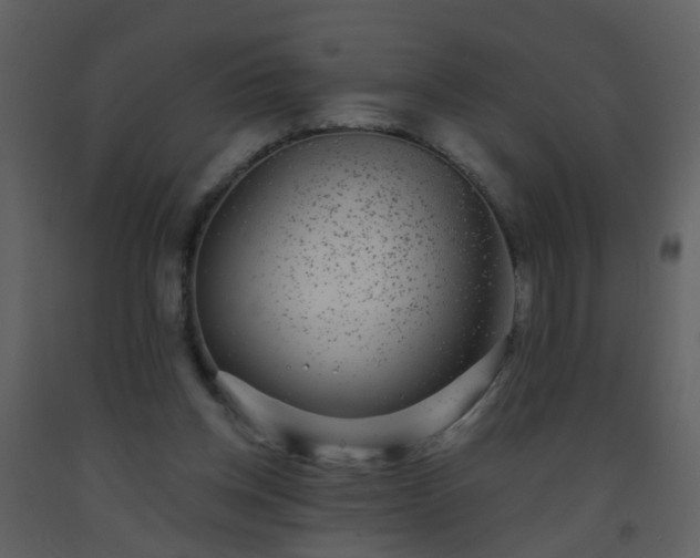 X0000093580158200710221510