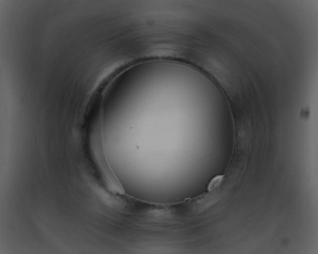 X0000093580160200710221510