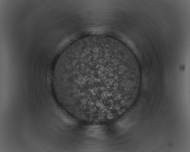 X0000093580161200710221510