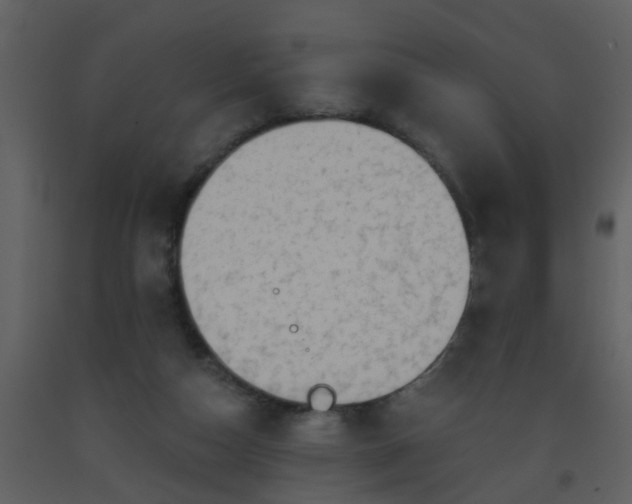 X0000093580162200710221510