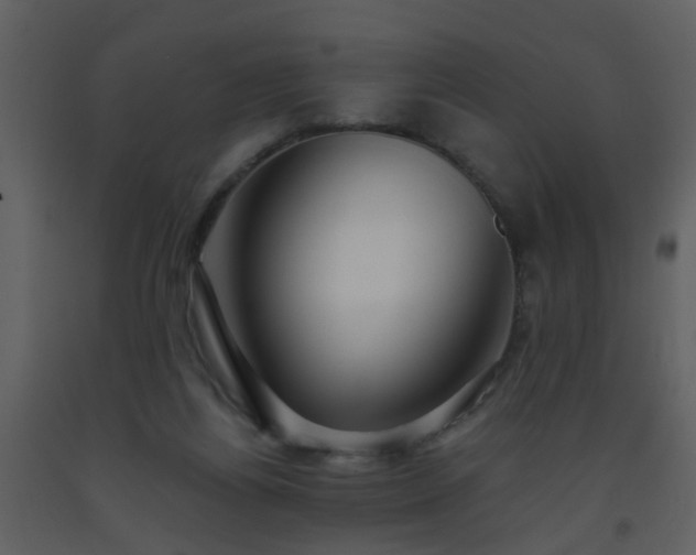 X0000093580164200710221510