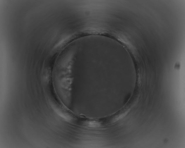 X0000093580165200710221510