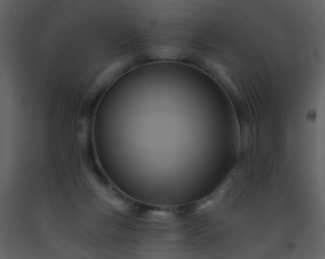 X0000093580167200710221510