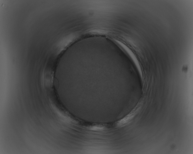 X0000093580168200710221510