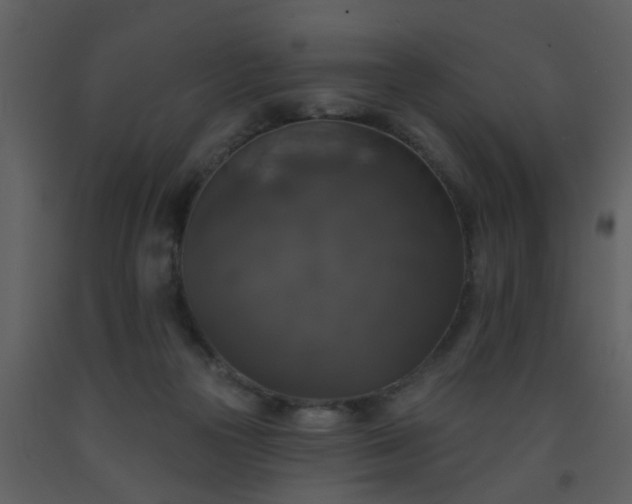 X0000093580169200710221510