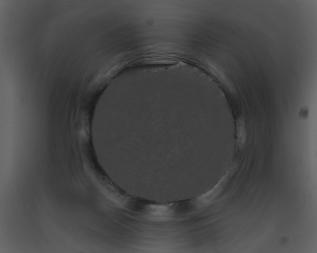 X0000093580170200710221510