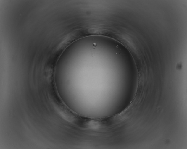 X0000093580171200710221510