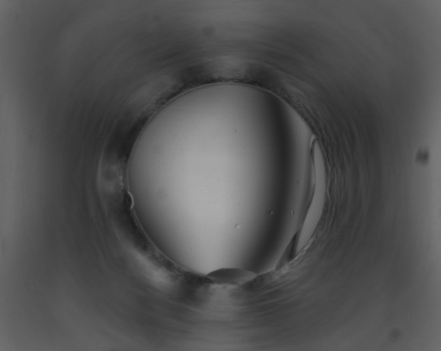 X0000093580172200710221510