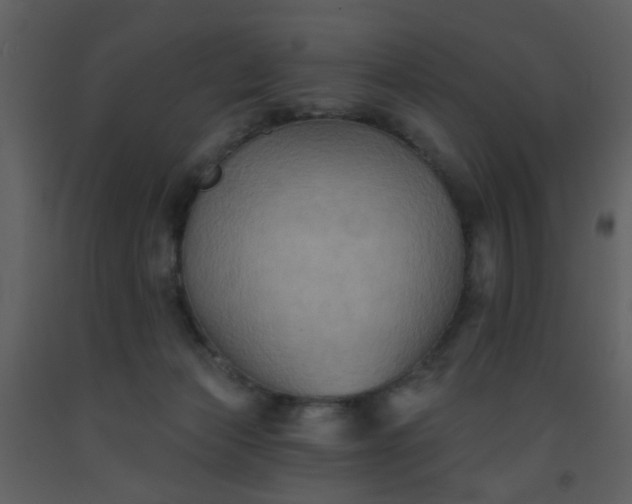 X0000093580173200710221510
