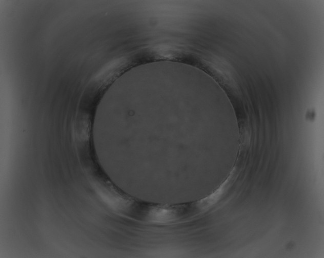 X0000093580174200710221510