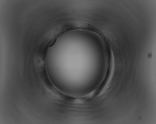 X0000093580176200710221510