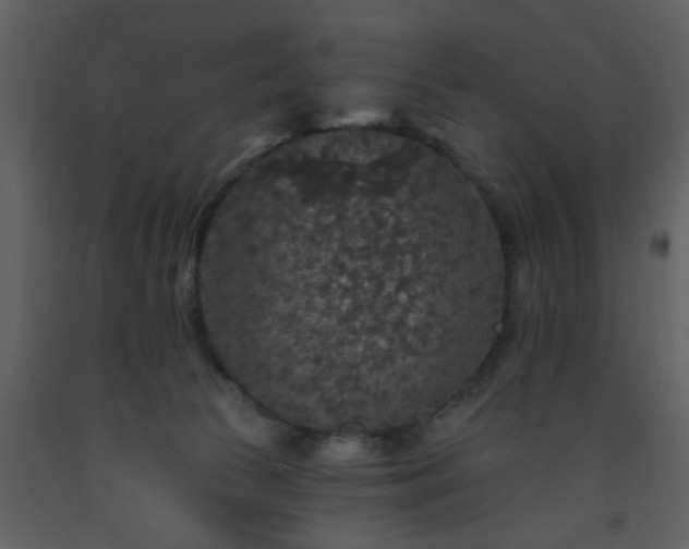 X0000093580177200710221510