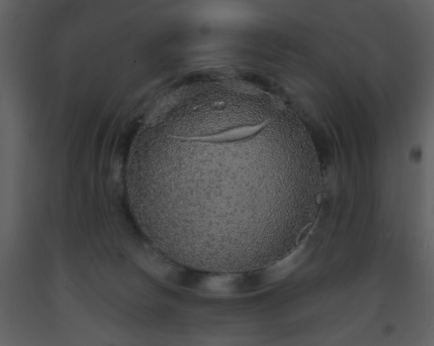 X0000093580178200710221510