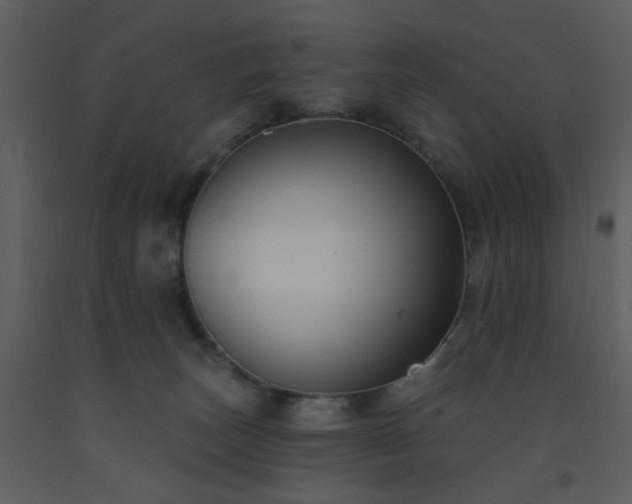 X0000093580179200710221510