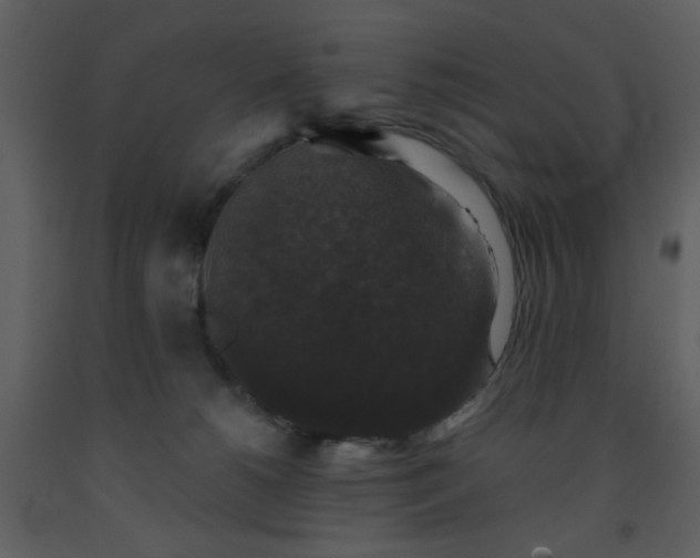 X0000093580180200710221510