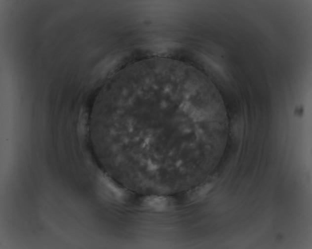 X0000093580181200710221510