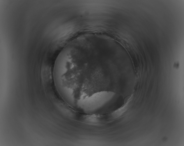 X0000093580182200710221510